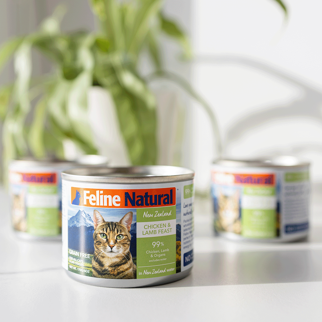 Leading The Way In Can Cat Food Nutrition Feline Natural USA