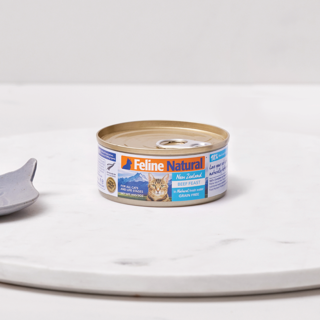 100 meat cat food clearance