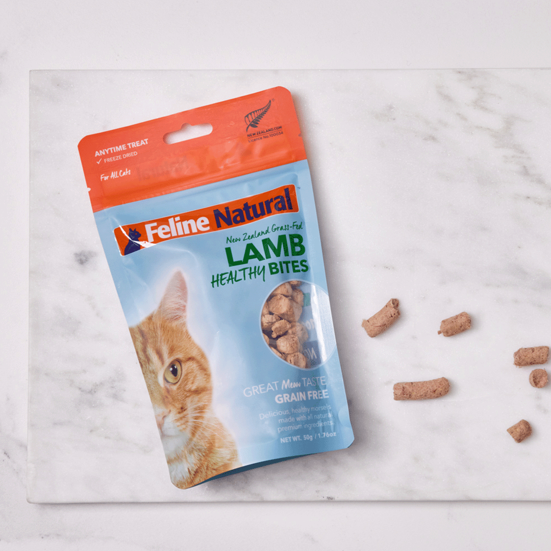 Lamb Protein Bites - Freeze Dried Dog Treats and Cat Treats - Steves Real  Food
