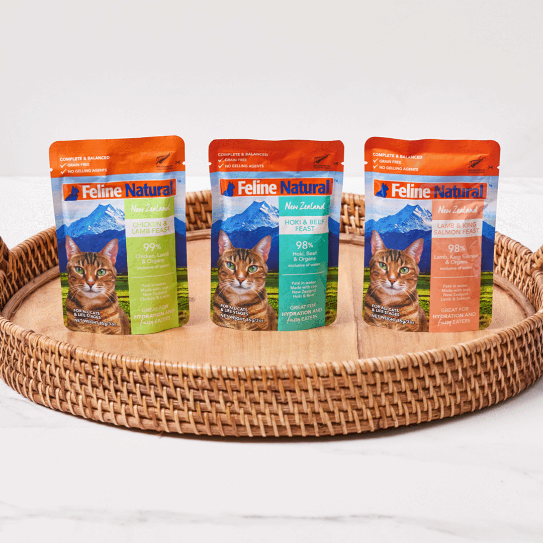 Cat pouch food online